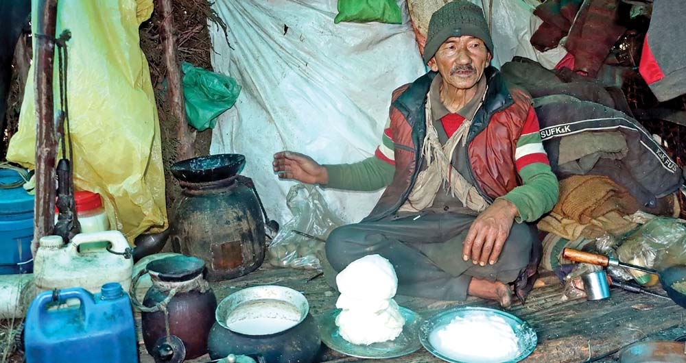 हराउँदै गोठ बस्ने परम्परा, रमाउँदै मनप्रसाद